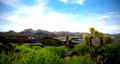 Tourist Bus Simulator <span class="ext" style="background-color: #2a475e; color: #FFFFFF;">STEAM</span> <span class="ext ext_digital">digital</span> thumbnail 3