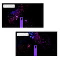 Date A Live IV - Toka Yatogami Limited Edition Ver. Double-sided Full graphic T-shirt (XL Size) thumbnail 4