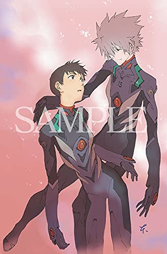 Evangelion New Theatrical Version: Q Complete Record Complete Works Visual Story Version image 13