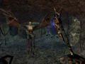 The Elder Scrolls III: Morrowind (Game of the Year Edition) <span class="ext" style="background-color: #2a475e; color: #FFFFFF;">STEAM</span> <span class="ext ext_digital">digital</span> thumbnail 5