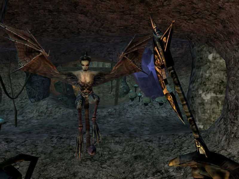 The Elder Scrolls III: Morrowind (Game of the Year Edition) <span class="ext" style="background-color: #2a475e; color: #FFFFFF;">STEAM</span> <span class="ext ext_digital">digital</span> image 5