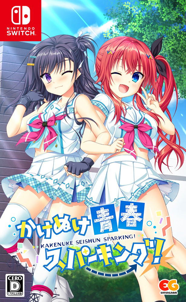 Kakenuke Seishun Sparking! image 1