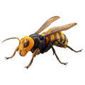 Revoltech Geo: Japanese Giant Hornet (Re-run) thumbnail 1