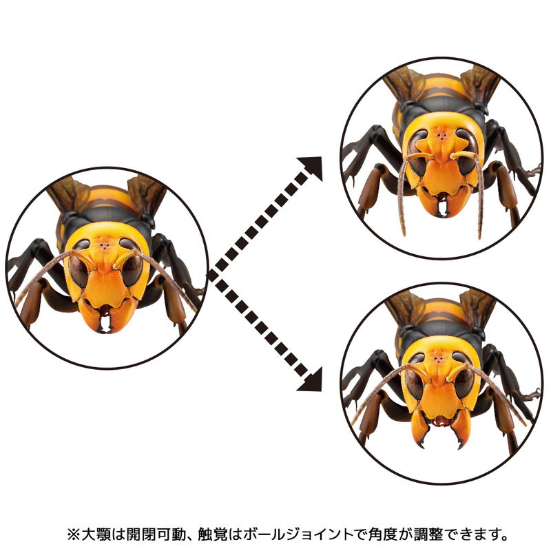 Revoltech Geo: Japanese Giant Hornet (Re-run) image 16