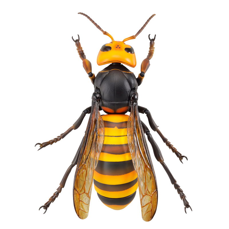 Revoltech Geo: Japanese Giant Hornet (Re-run) image 2