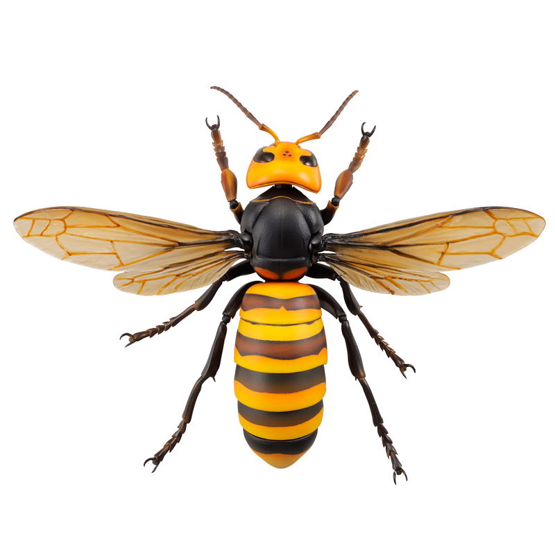Revoltech Geo: Japanese Giant Hornet (Re-run) image 3
