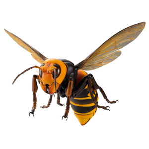 Revoltech Geo: Japanese Giant Hornet (Re-run)