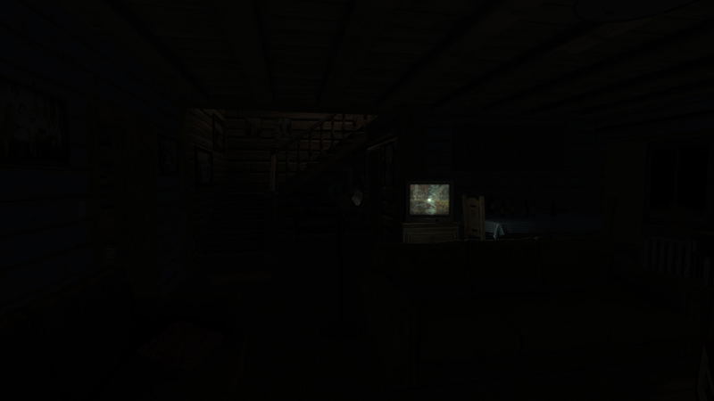Inconsistencies <span class="ext" style="background-color: #2a475e; color: #FFFFFF;">STEAM</span> <span class="ext ext_digital">digital</span> image 9