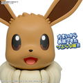 Pokemon Plastic Model Collection Big 02: Eevee thumbnail 6