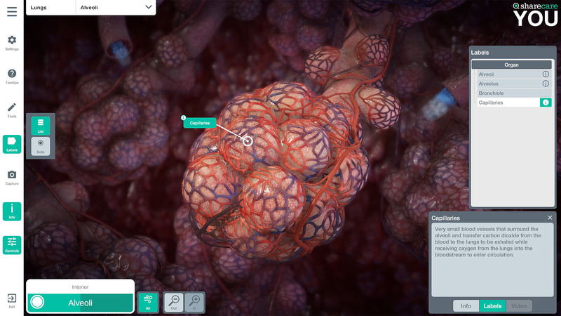 Sharecare You STEAM digital 为了 Windows