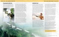 Tomb Raider: The Official Cookbook And Travel Guide (Hardcover) thumbnail 3