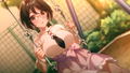 SINce Memories: Off the Starry Sky [Limited Edition] thumbnail 4