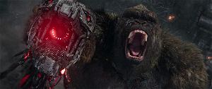 Godzilla Vs. Kong [Blu-ray+DVD+Digital HD]