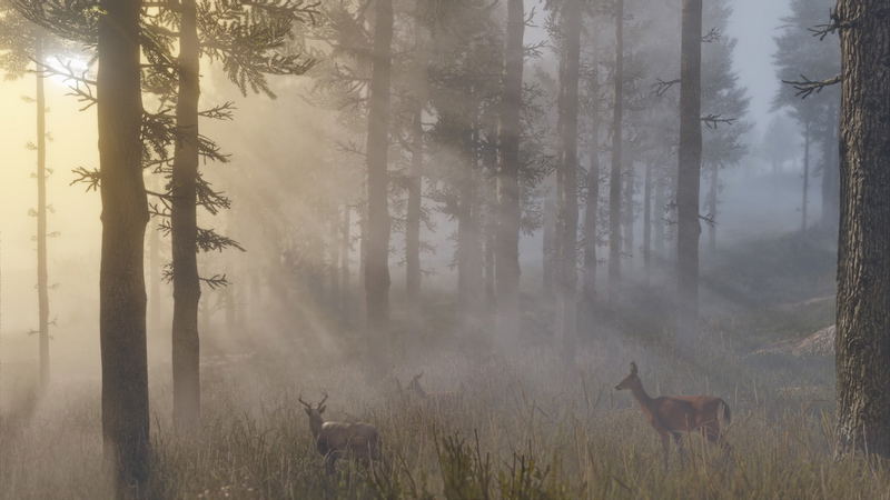 Red Dead Redemption II <span class="ext ext_digital">digital</span> image 13