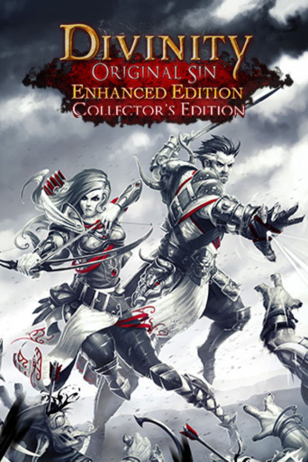 Divinity: Original Sin (Enhanced Edition Collector's Edition) GOG.com digital — Import Game Deal