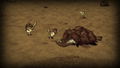 Don't Starve Together (Console Edition) <span class="ext ext_digital">digital</span> thumbnail 6