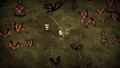 Don't Starve Together (Console Edition) <span class="ext ext_digital">digital</span> thumbnail 7