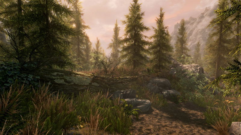 The Elder Scrolls V: Skyrim (Special Edition) <span class="ext ext_digital">digital</span> image 7