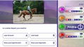 Equestrian Training thumbnail 3