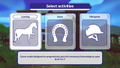 Equestrian Training thumbnail 5