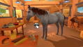 Equestrian Training thumbnail 6