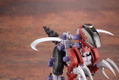 Zoids HMM 1/72 Scale Model Kit: EZ-027 Rev Raptor thumbnail 13
