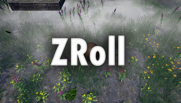 ZRoll STEAM digital — Import Game Deal