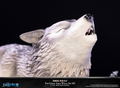 Dark Souls PVC Painted Statue: The Great Grey Wolf Sif SD [Standard Edition] thumbnail 14