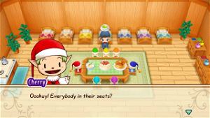 STORY OF SEASONS: Friends of Mineral Town