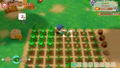 STORY OF SEASONS: Friends of Mineral Town thumbnail 5