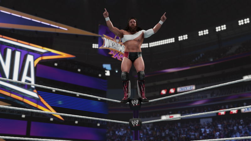 WWE 2K19 (Digital Deluxe Edition) <span class="ext" style="background-color: #2a475e; color: #FFFFFF;">STEAM</span> <span class="ext ext_digital">digital</span> image 8