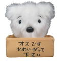 Crayon Shin-chan Original Manga Ver. Plush Set: Shin-chan & Shiro thumbnail 11