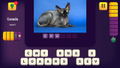 World Quiz thumbnail 4