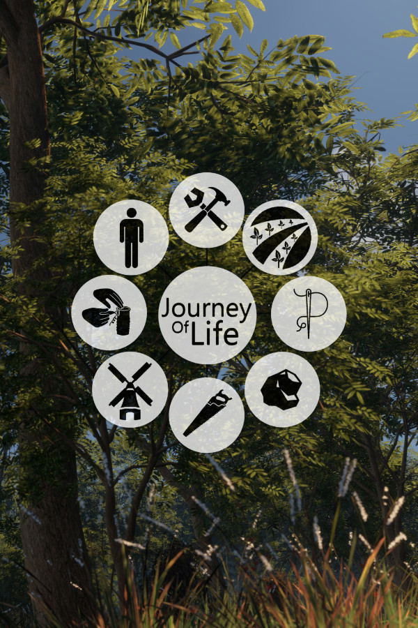 Journey of Life STEAM digital — Import Game Deal