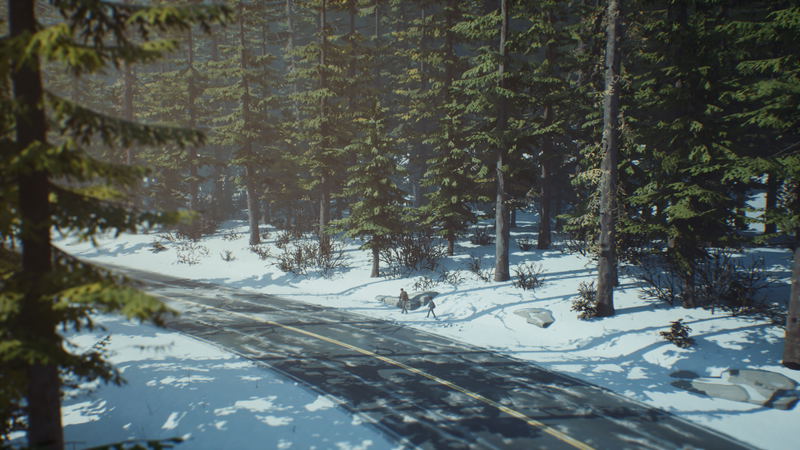 Life is Strange 2: Episode 2 (DLC) <span class="ext" style="background-color: #B0000F; color: #FFFFFF;">DLC</span> <span class="ext" style="background-color: #2a475e; color: #FFFFFF;">STEAM</span> <span class="ext ext_digital">digital</span> image 8