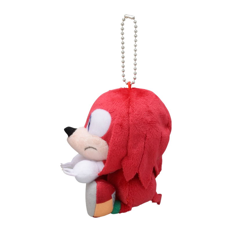 Sonic The Hedgehog & You Plush (Set of 6 Pieces) image 10