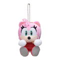 Sonic The Hedgehog & You Plush (Set of 6 Pieces) thumbnail 11