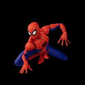 Spider-Man Into the Spider-Verse Action Figure: SV Action Peter B. Parker/Spider-Man thumbnail 12