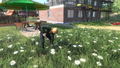 Farmer's Dynasty <span class="ext" style="background-color: #2a475e; color: #FFFFFF;">STEAM</span> <span class="ext ext_digital">digital</span> thumbnail 4