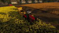 Real Farm [Premium Edition] thumbnail 10