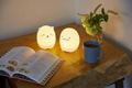 Sumikko Gurashi Room Light Book Cat ver. thumbnail 10