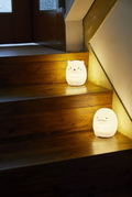 Sumikko Gurashi Room Light Book Cat ver. thumbnail 11