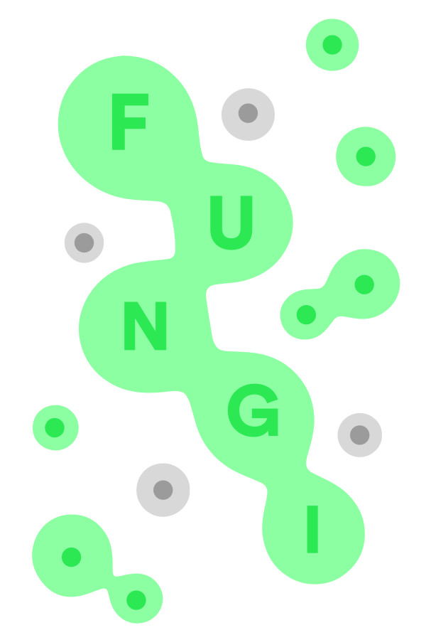 FUNGI STEAM digital — Import Game Deal