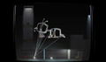 Trash TV <span class="ext" style="background-color: #2a475e; color: #FFFFFF;">STEAM</span> <span class="ext ext_digital">digital</span> thumbnail 5