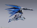 Metal Build Mobile Suit Gundam Seed: Freedom Gundam Concept 2 (Re-run) thumbnail 8