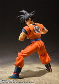 S.H.Figuarts Dragon Ball Z: Son Gokou Earth Grew up Saiyan (Re-run) thumbnail 3
