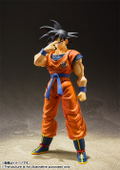 S.H.Figuarts Dragon Ball Z: Son Gokou Earth Grew up Saiyan (Re-run) thumbnail 5
