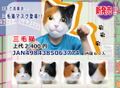 Calico Cat Rubber Mask thumbnail 7
