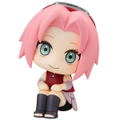 LookUp Naruto Shippuden: Sakura Haruno (Re-run) thumbnail 6