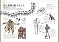 Therianthropy / Personification Tips For Non-Human Design thumbnail 11